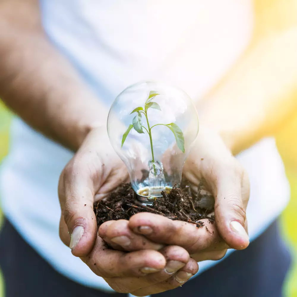 Ambiente: energía, agua, residuos y biodiversidad